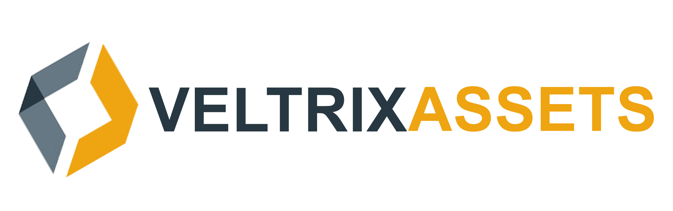Veltrix Asset Logo