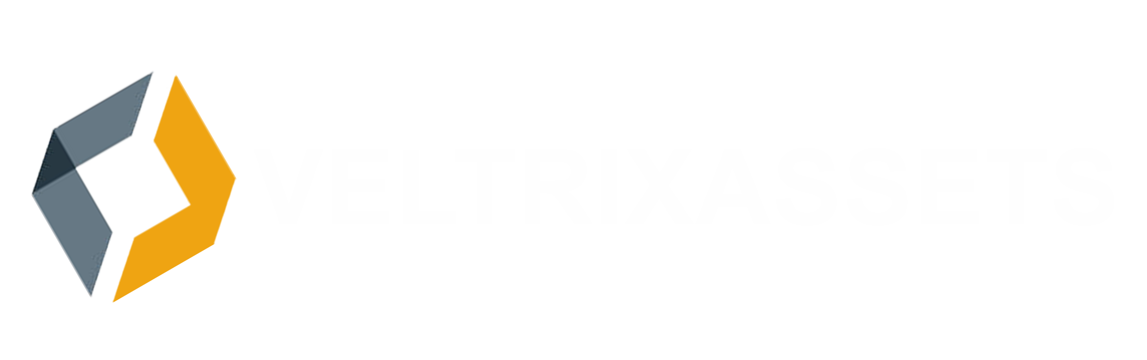 Veltrix Asset  Insights Logo